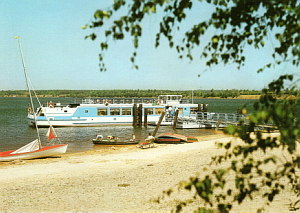 Senftenberg